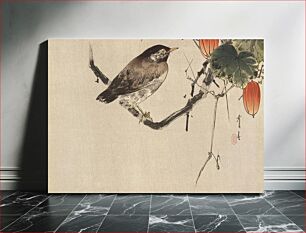 Πίνακας, Starling on Japanese Snake Gourd Vine by Watanabe Seitei