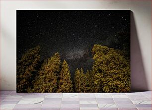 Πίνακας, Starlit Night Over Forest Έναστρη νύχτα πάνω από το δάσος
