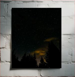 Πίνακας, Starlit Night Sky Above Forest Έναστρο νυχτερινό ουρανό πάνω από το δάσος