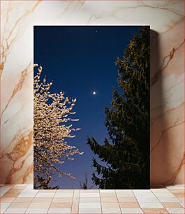 Πίνακας, Starlit Night with Trees Αστρόφωτη νύχτα με δέντρα