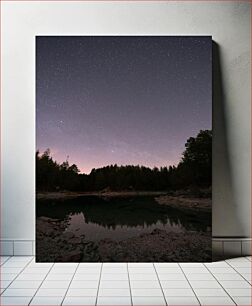 Πίνακας, Starry Night by the Forest Lake Έναστρη Νύχτα δίπλα στη Λίμνη του Δάσους