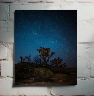 Πίνακας, Starry Night Over Desert Trees Έναστρη νύχτα πάνω από δέντρα της ερήμου