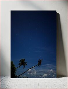 Πίνακας, Starry Night Over Palm Trees Έναστρη νύχτα πάνω από φοίνικες