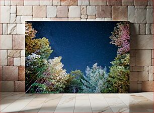 Πίνακας, Starry Night Over the Forest Έναστρη Νύχτα Πάνω από το Δάσος