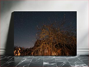 Πίνακας, Starry Night Over Tree and Ruins Έναστρη νύχτα πάνω από το δέντρο και τα ερείπια