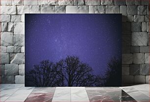 Πίνακας, Starry Night Over Trees Έναστρη νύχτα πάνω από δέντρα