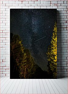Πίνακας, Starry Night Sky Above Forest Έναστρος νυχτερινός ουρανός πάνω από το δάσος