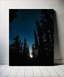 Πίνακας, Starry Night Sky and Silhouettes of Trees Έναστρος νυχτερινός ουρανός και σιλουέτες των δέντρων