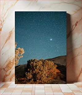 Πίνακας, Starry Night Sky Over Trees Έναστρος νυχτερινός ουρανός πάνω από δέντρα