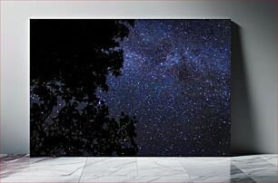 Πίνακας, Starry Night Sky with Silhouetted Trees Έναστρος νυχτερινός ουρανός με σιλουέτα δέντρα