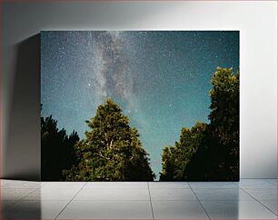 Πίνακας, Starry Night Sky with Trees Έναστρος νυχτερινός ουρανός με δέντρα