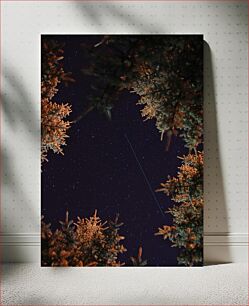 Πίνακας, Starry Night Through the Trees Έναστρη Νύχτα Μέσα από τα Δέντρα