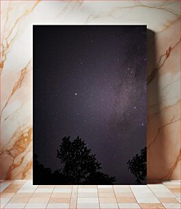 Πίνακας, Starry Night with Silhouetted Trees Έναστρη νύχτα με σιλουέτα δέντρα