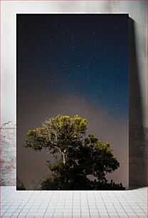 Πίνακας, Starry Night with Tree Έναστρη Νύχτα με Δέντρο
