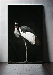 Πίνακας, Statuesque Crane in Low Light Αγαλματώδης γερανός σε χαμηλό φωτισμό