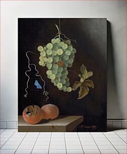 Πίνακας, Still Life with a Hanging Bunch of Grapes, Two Medlars, and a Butterfly (1687) by Adriaen Coorte