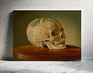 Πίνακας, Still life with a skull and a forget-me-not, František Klimkovič