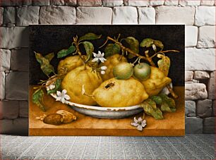 Πίνακας, Still Life with Bowl of Citrons by Giovanna Garzoni (1600-1670)