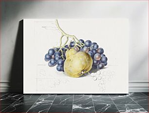 Πίνακας, Stilleven met druiven en een peer by Georgius Jacobus Johannes van Os (1782–1861)