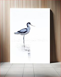Πίνακας, Stilt Bird Standing in Water Ξυλοπόδαρο που στέκεται στο νερό