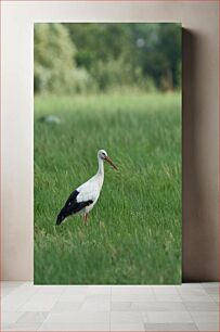 Πίνακας, Stork in the Meadow Πελαργός στο Λιβάδι