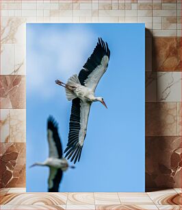 Πίνακας, Storks in Flight Πελαργοί σε πτήση