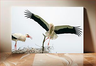 Πίνακας, Storks in Nest Πελαργοί στη Φωλιά