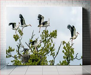 Πίνακας, Storks in Trees Πελαργοί στα δέντρα
