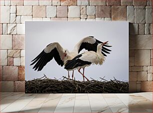 Πίνακας, Storks on Nest Πελαργοί στη Φωλιά