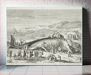 Πίνακας, Stranded Whale between Scheveningen and Katwyk by Willem van der Gouwen and Hendrik Goltzius