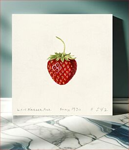 Πίνακας, Strawberry (Fragaria) (1930) by Louis Charles Christopher Krieger