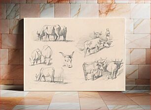 Πίνακας, Studies of Cattle (ca. 1872) by John Singer Sargent