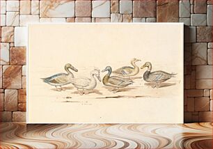 Πίνακας, Studies of different duck types by Martinus Rørbye