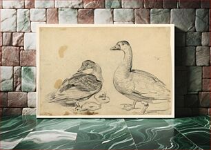 Πίνακας, Studies of Ducks and a Fowl with Chickens, Henry Bernard Chalon