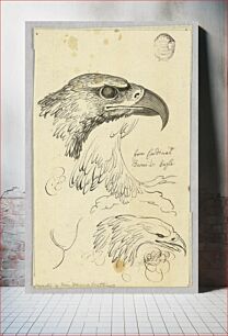 Πίνακας, Studies of Two Eagle Heads and One Wing, from Cardinal Bernis' Eagle