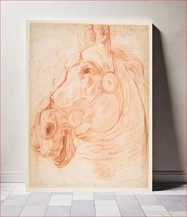 Πίνακας, Study for a Horse's Head