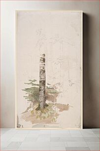 Πίνακας, Study from the interior of a conifer forest by Caspar David Friedrich