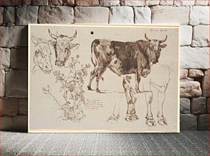 Πίνακας, Study magazine from Vognserup.TVtwo cow's heads, below a sable.Center to right a standing bull, below studies of its legs by Johan Thomas Lundbye