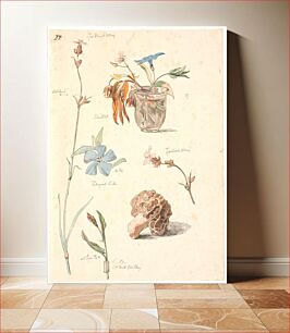 Πίνακας, Study magazine with flowers and plants by Johan Thomas Lundbye
