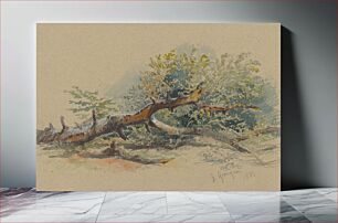 Πίνακας, Study of a cut down tree by Friedrich Carl von Scheidlin