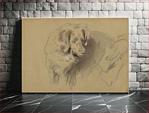 Πίνακας, Study of a Dog by Sir Edwin Henry Landseer