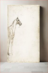 Πίνακας, Study of a Horse (ca. 1817–1818) by Théodore Gericault