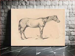 Πίνακας, Study of a horse i. by Friedrich Carl von Scheidlin