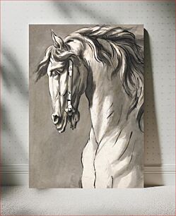 Πίνακας, Study of a Horse's Head John Michael Rysbrack