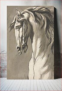 Πίνακας, Study of a Horse's Head