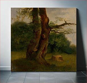 Πίνακας, Study of a leafy tree, Jozef Bozetech Klemens