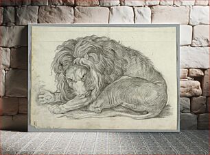 Πίνακας, Study of a Lion
