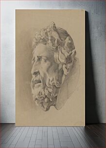 Πίνακας, Study of a man with beard according to plaster cast by Friedrich Carl von Scheidlin