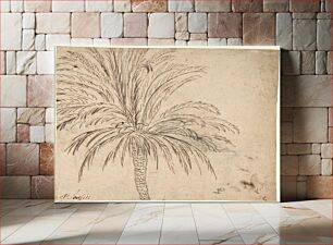 Πίνακας, Study of a Palm Tree (recto); Mountain Landscape (verso)