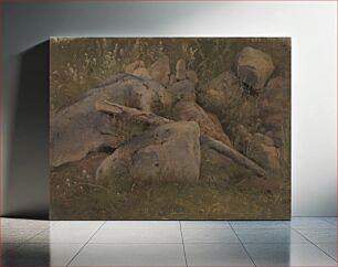 Πίνακας, Study of a pile of stones by Vilhelm Petersen